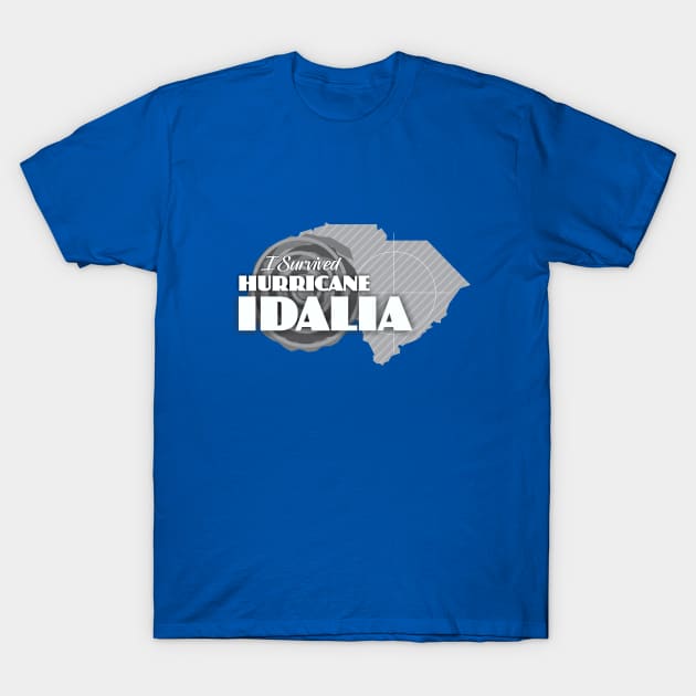 I Survived Hurricane Idalia T-Shirt by Dale Preston Design